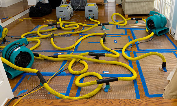 Professional Water Damage Restoration technician working in Radiant, VA